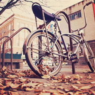 让管理更轻松的在线电话轰炸工具